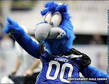 Home - Atlanta Mascot Productions